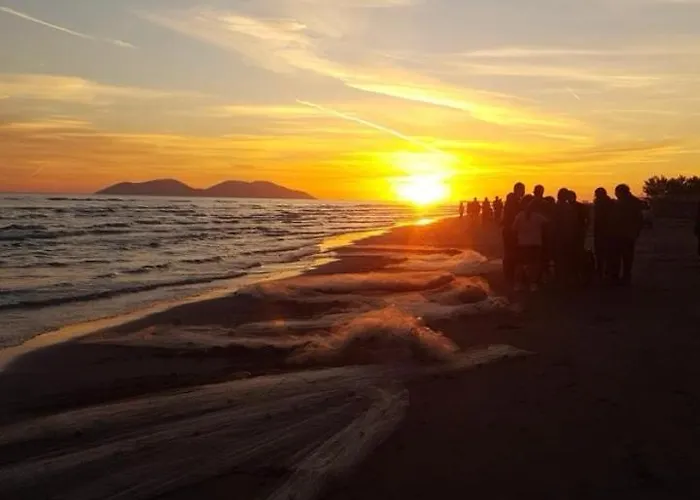 Antonela's Apartment *